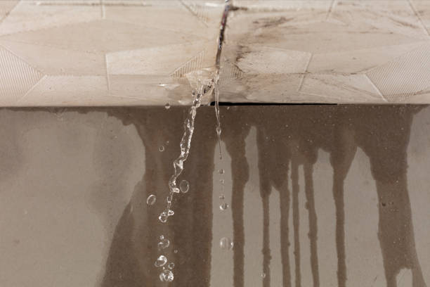 Professional Water Damage Restoration technician working in Cordova, SC